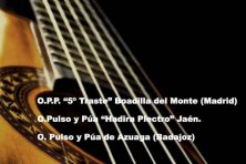 IX Edición del Festival Nacional de Música Plectro