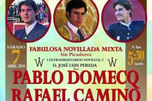 Novillada Mixta sin picadores