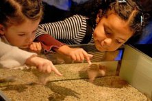 Semana Internacional del Turismo III