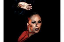 Espectáculo Flamenco 