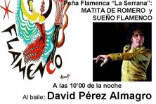 XII Edición de las Noches Flamencas 