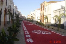 Procesión del Santísimo y Divino Cristo del Humilladero 