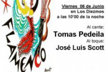 XVI Noches Flamencas de Cazalla de la Sierra