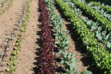 Jornada Didáctica escolares 