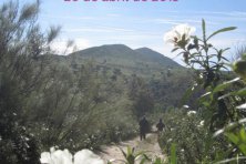 XV Ruta del Rey Jayón