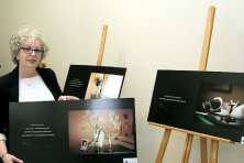 Exposición “Proyecto 25”