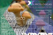 XX Jornadas Micológicas Parque Natural Sierra Norte de Sevilla