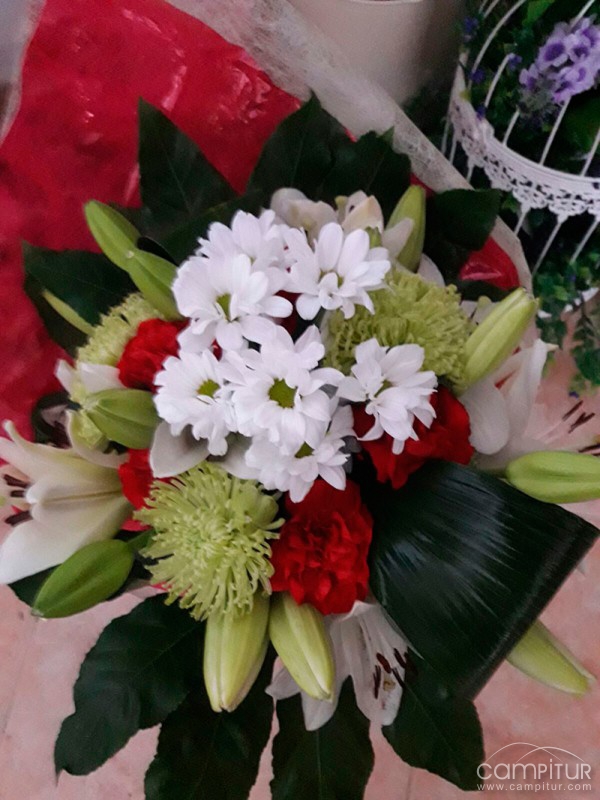 La Amapola Floristería 