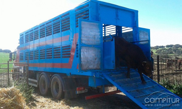 Transportes Manuel Vizuete - EL FURIA
