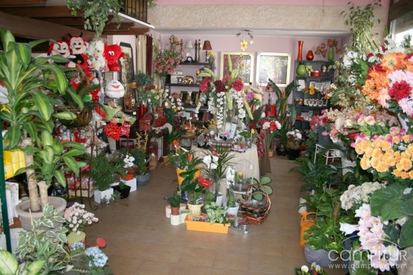 Floristería Dianthus