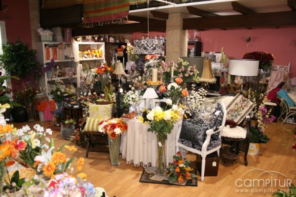 Floristería Dianthus
