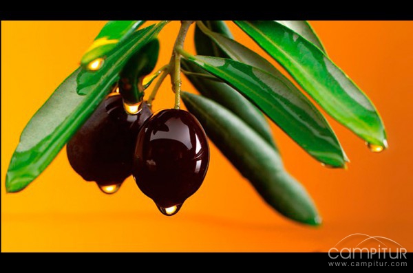 Coop. La Milagrosa de Monterrubio 