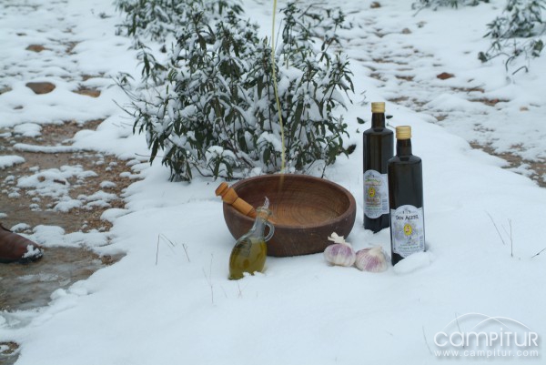 Coop. La Milagrosa de Monterrubio 