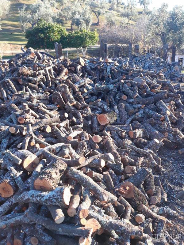 Empresa de Limpieza JR