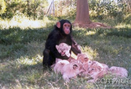 Excursión Fin de Curso de los alumn@s de Peraleda 