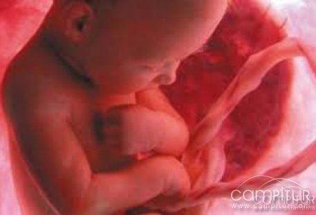 El "ordeño" del cordón umbilical mejora el flujo de sangre en los bebés prematuros