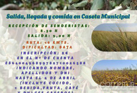Berlanga acogerá la I Ruta Senderista "Águila Berlangueña" el 6 de abril