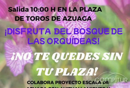 Azuaga se prepara para la esperada Ruta de las Orquídeas 2025