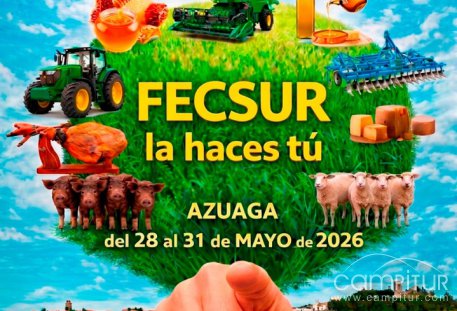 FECSUR ya tiene programa