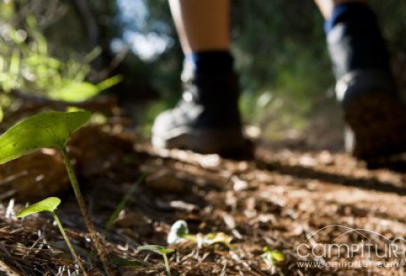 La Asociación Senderista “La Torruca” de Ahillones comienza su temporada 