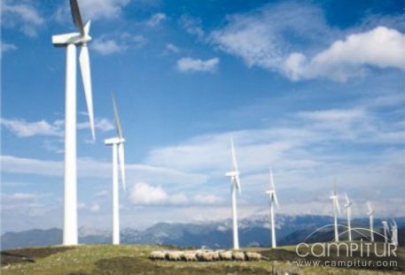 Finalizado el Curso de Instalador de Sistemas de Energía Solar Fotovoltaica y Eólica en Peraleda 